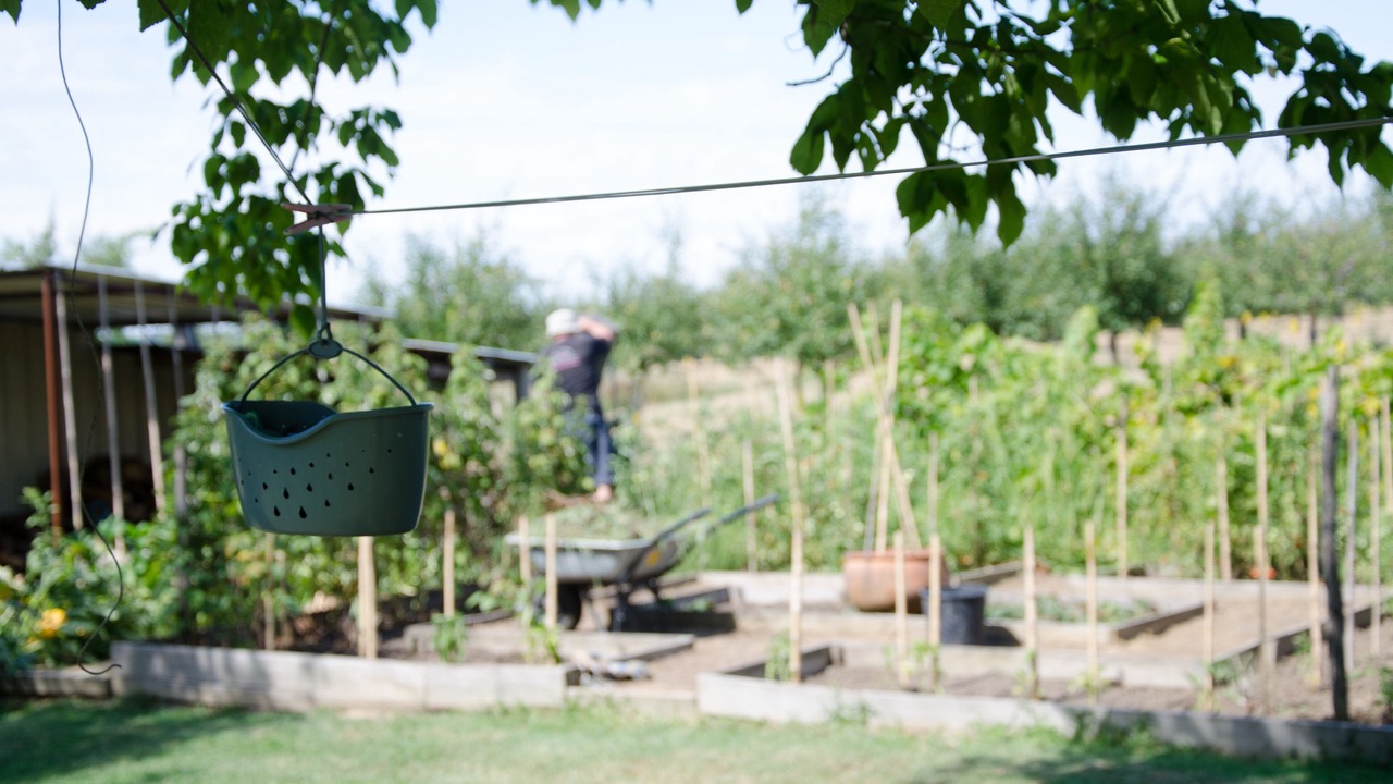 Photo of Outdoor in Taillecavat