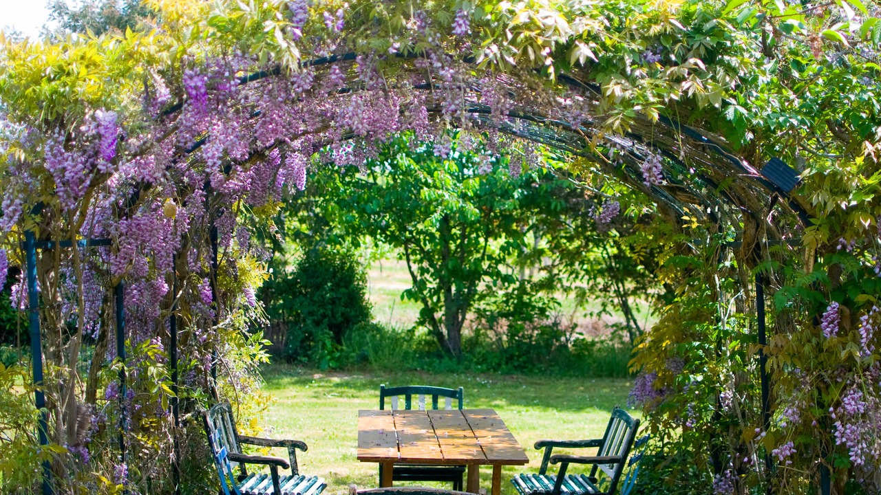 Photo of Outdoor in Taillecavat