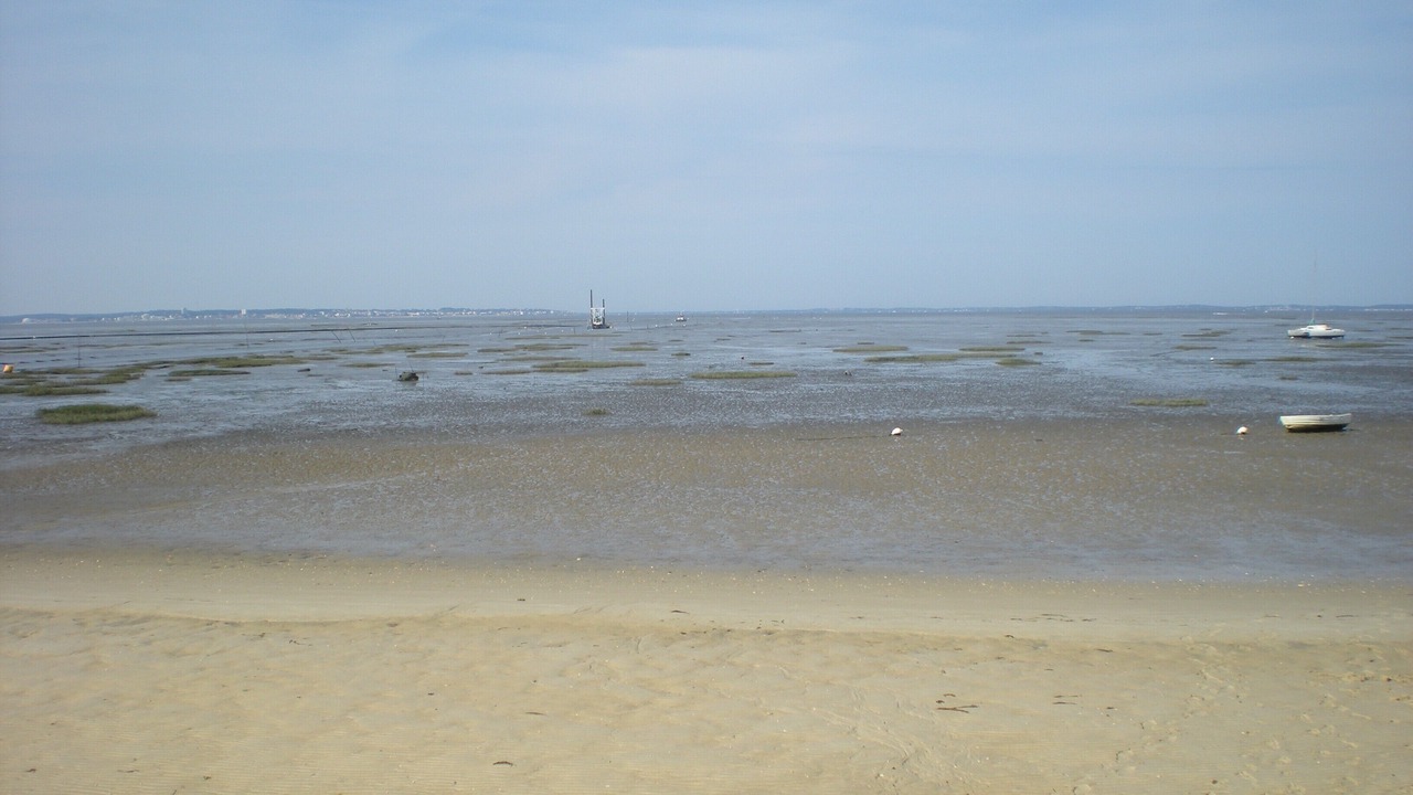 Photo of Others in Taussat