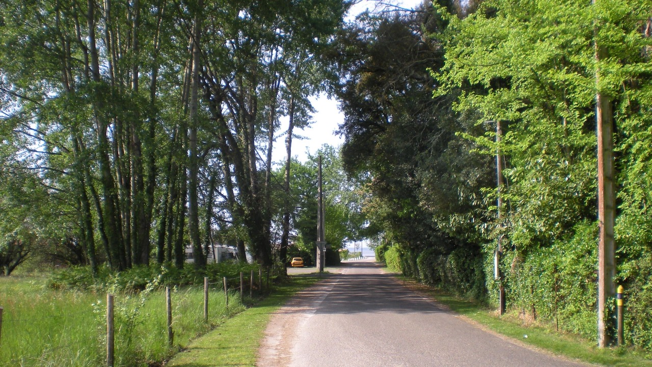 Photo of Others in Taussat
