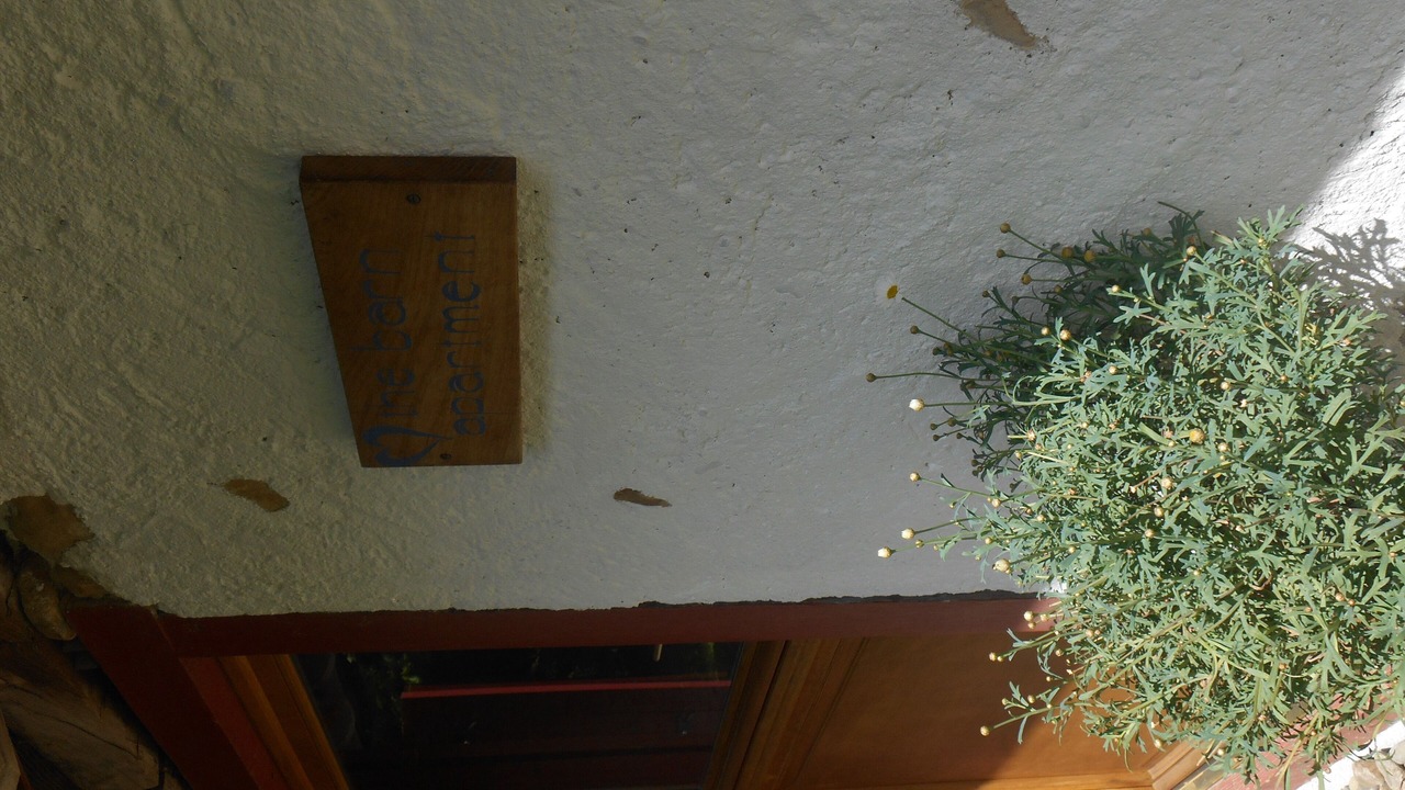 Photo of Outdoor in Jurancon