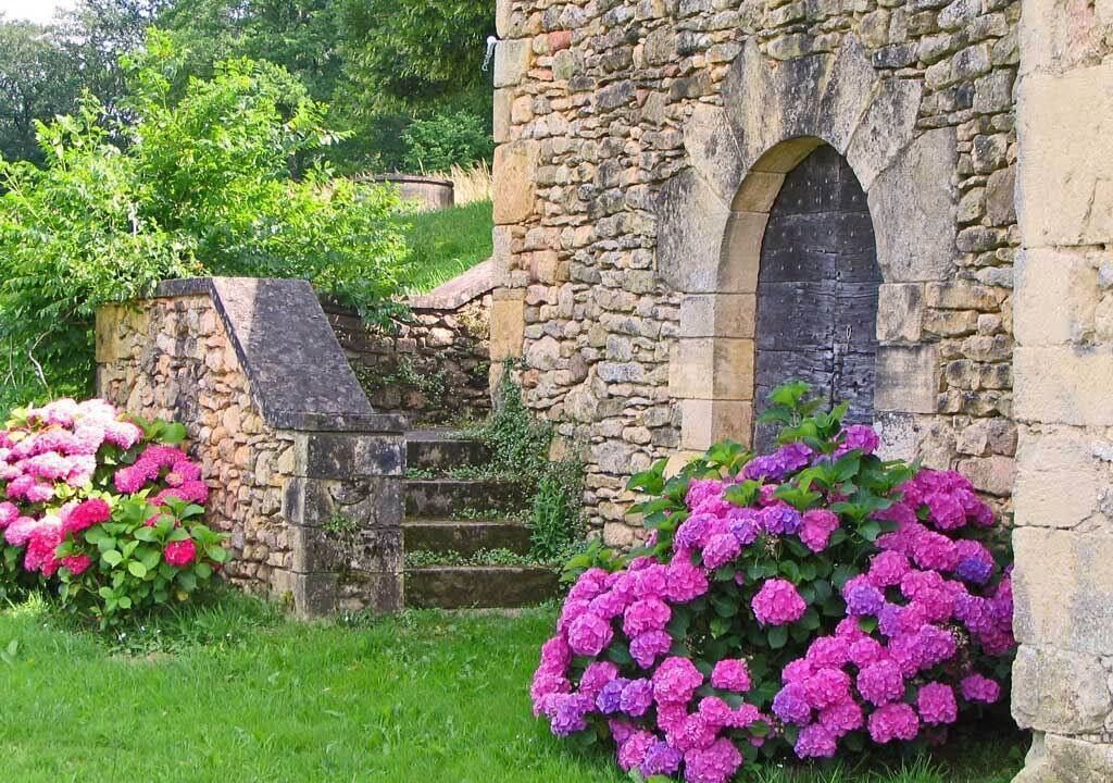 Photo of Others in Sarlat-la-Caneda