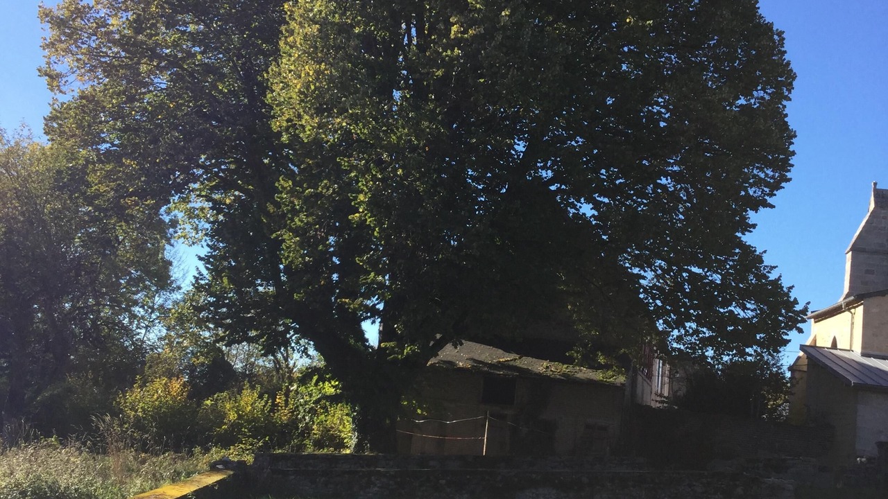Photo of Outdoor in Faux-la-Montagne