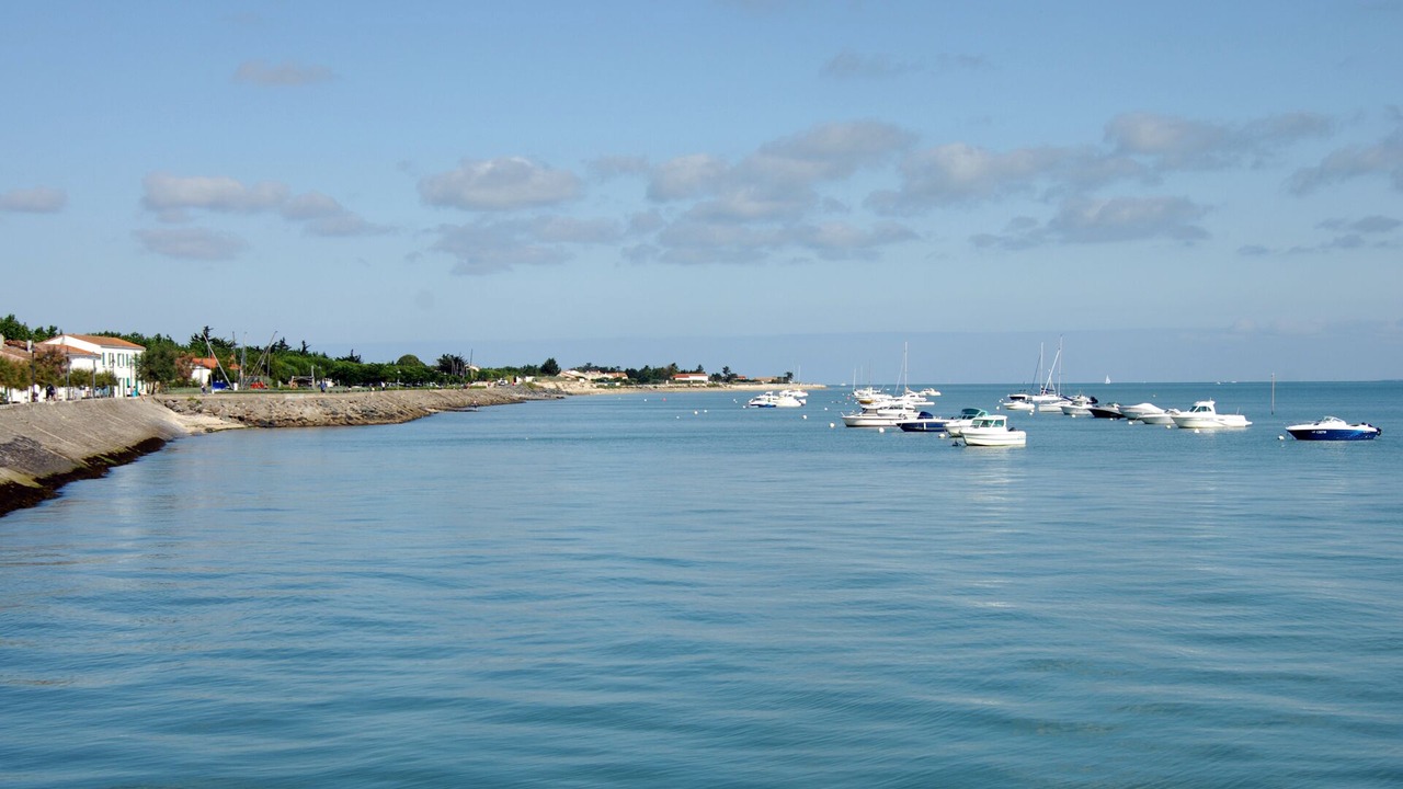 Photo of Others in Le Bois-Plage-en-Re
