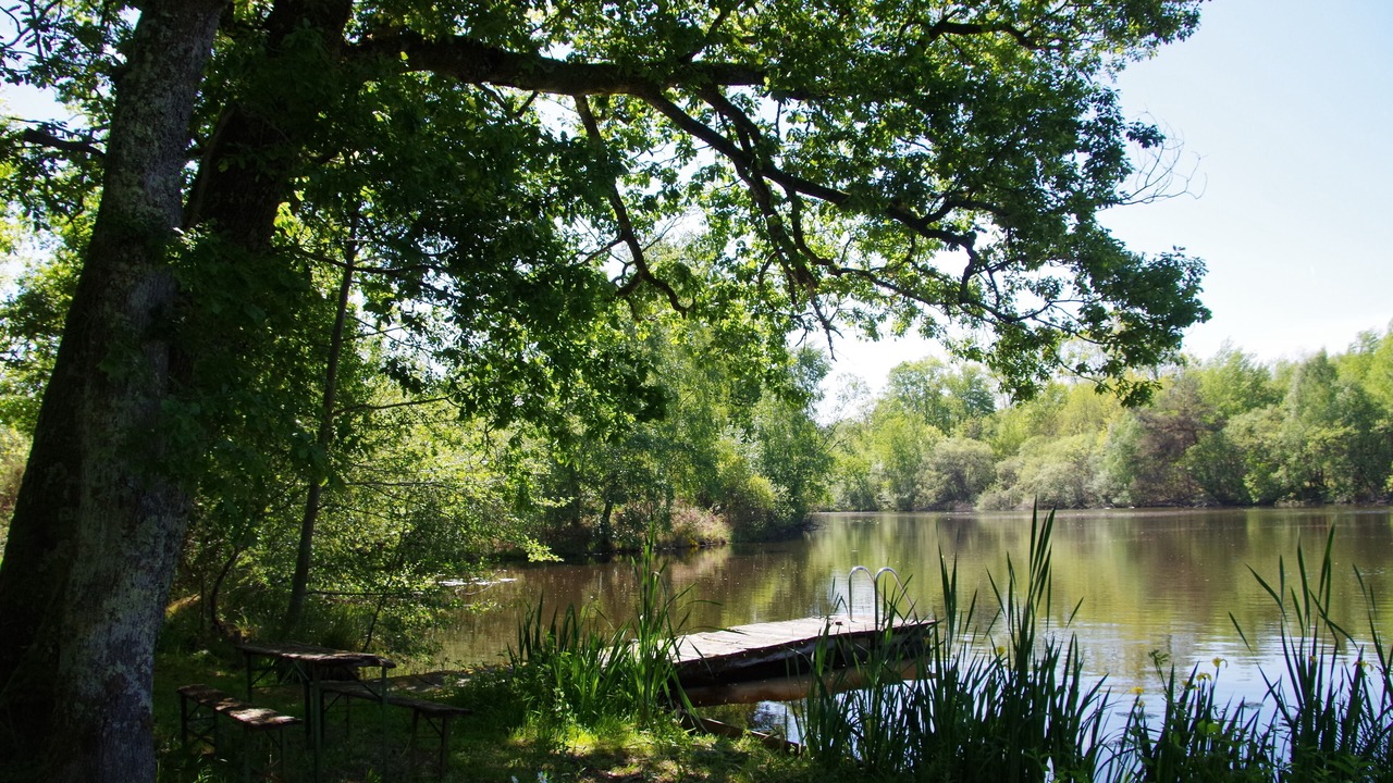 Photo of Outdoor in Busserolles