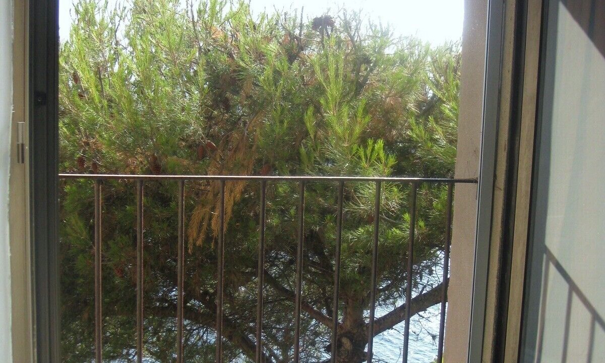 Photo of Others in Carqueiranne