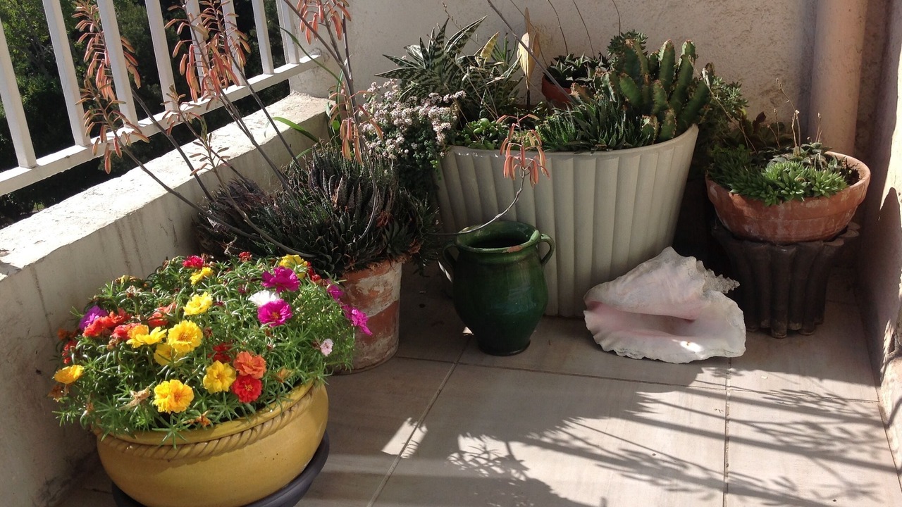 Photo of Patio Balcony in Saint-Giniez