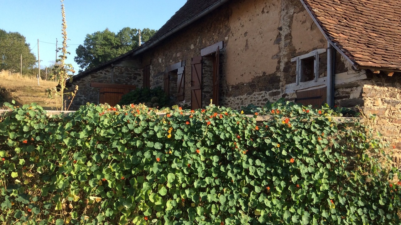Photo of Outdoor in Saint-Martin-Sepert