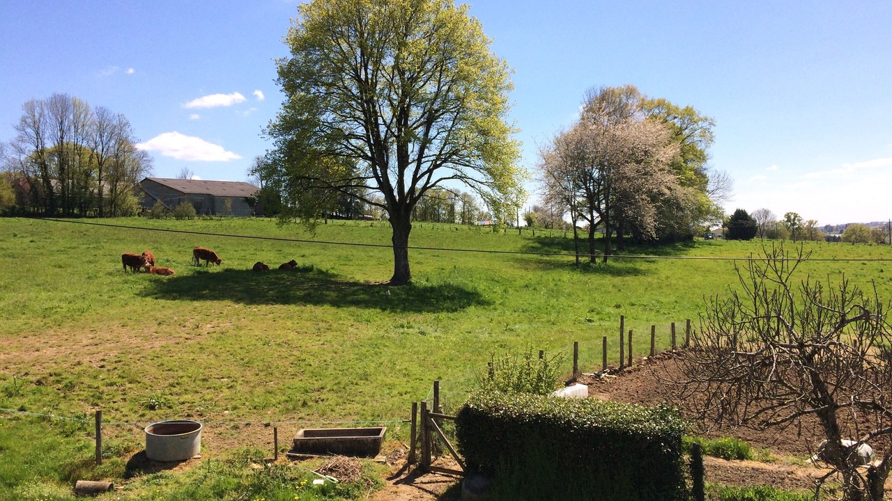 Photo of Outdoor in Saint-Martin-Sepert