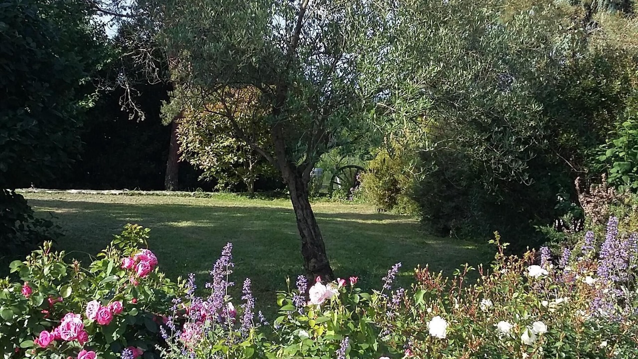 Photo of Outdoor in Caumont