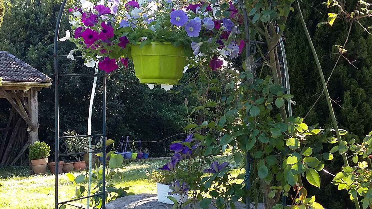 Photo of Outdoor in Caumont