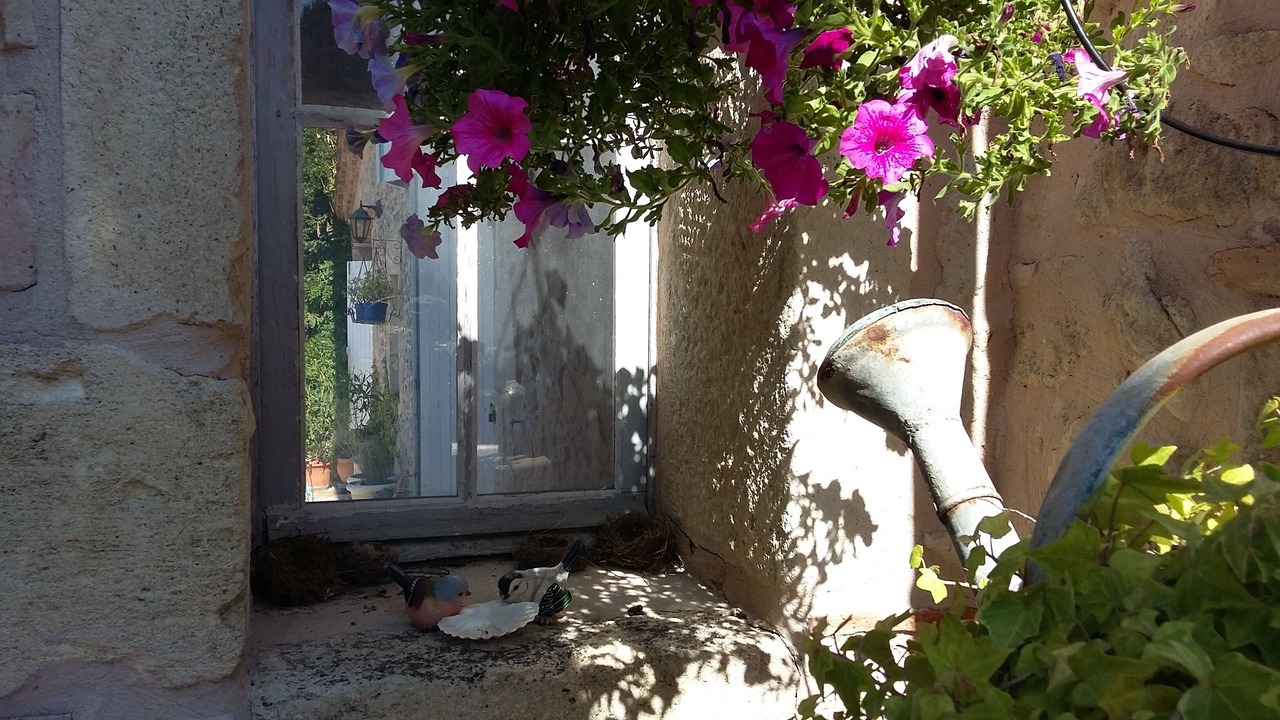 Photo of Outdoor in Caumont