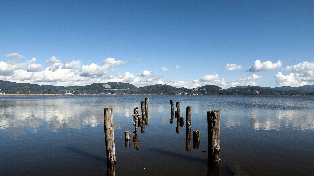 Photo of Outdoor in Torre del Lago Puccini