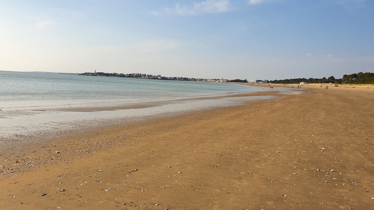 Photo of Others in Mortagne-sur-Gironde