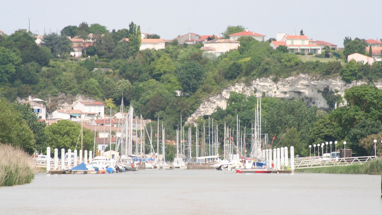 Photo of Others in Mortagne-sur-Gironde