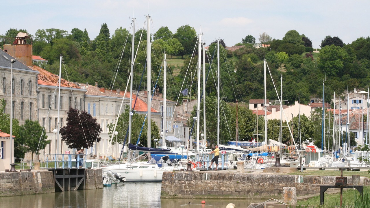 Photo of Others in Mortagne-sur-Gironde