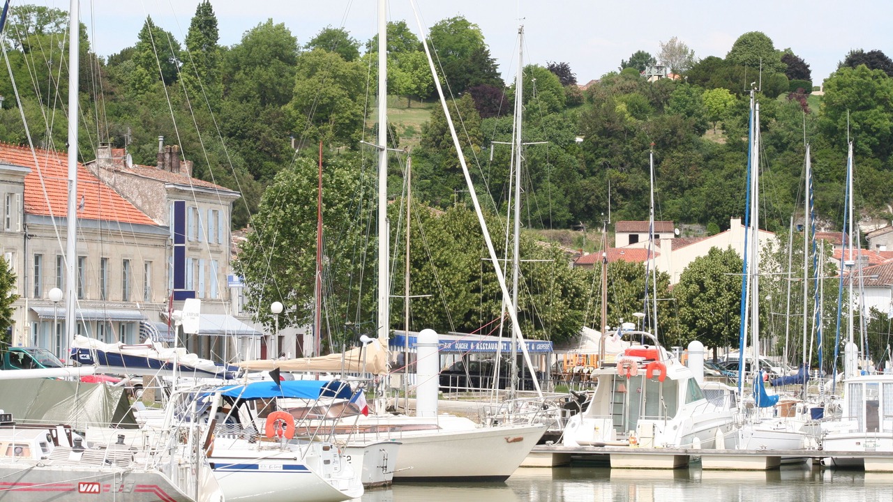 Photo of Others in Mortagne-sur-Gironde