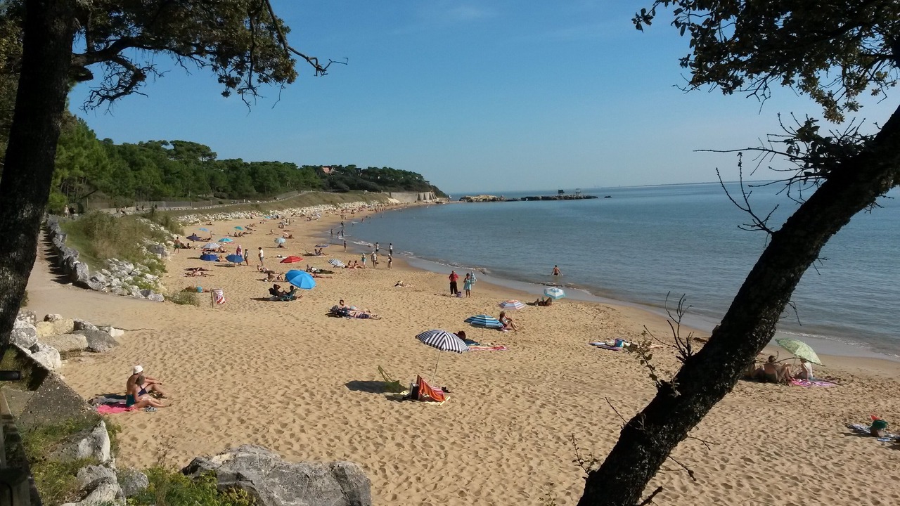 Photo of Others in Mortagne-sur-Gironde