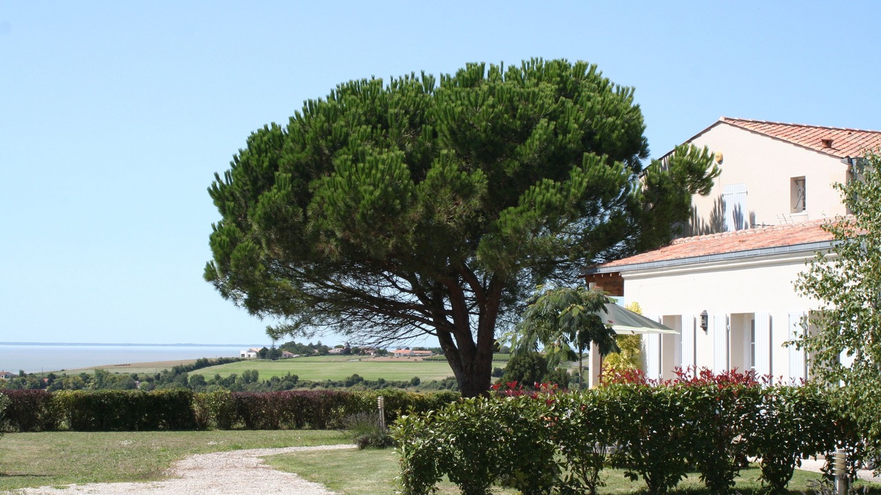 Photo of Outdoor in Mortagne-sur-Gironde
