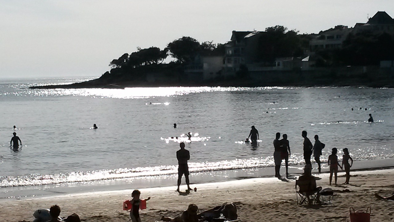 Photo of Others in Mortagne-sur-Gironde