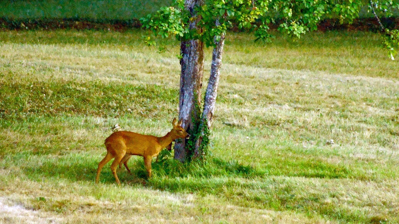Photo of Outdoor in Sainte Croix de Beaumont