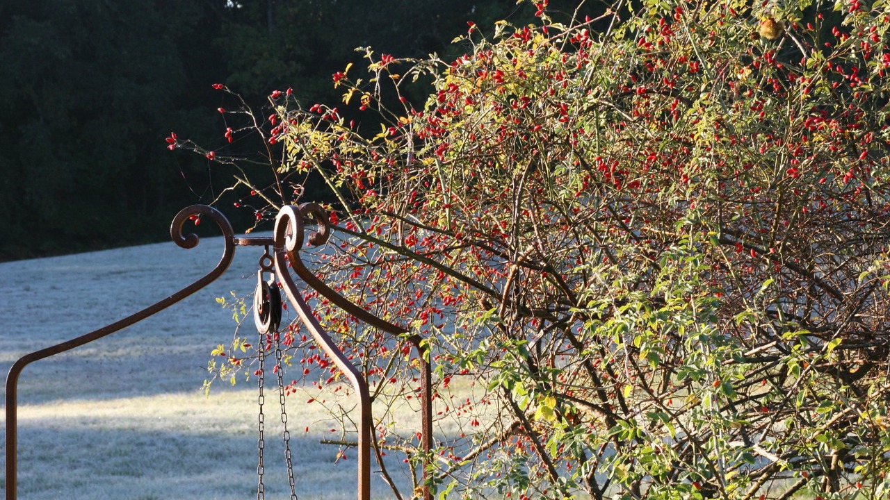 Photo of Outdoor in Sainte Croix de Beaumont