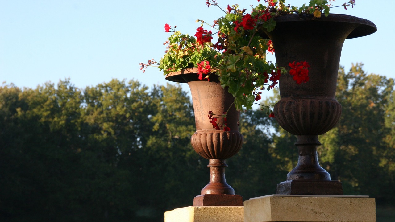 Photo of Outdoor in Sainte Croix de Beaumont