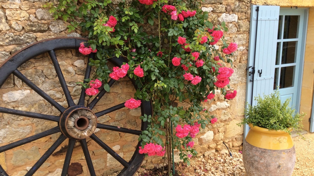 Photo of Outdoor in Sainte Croix de Beaumont