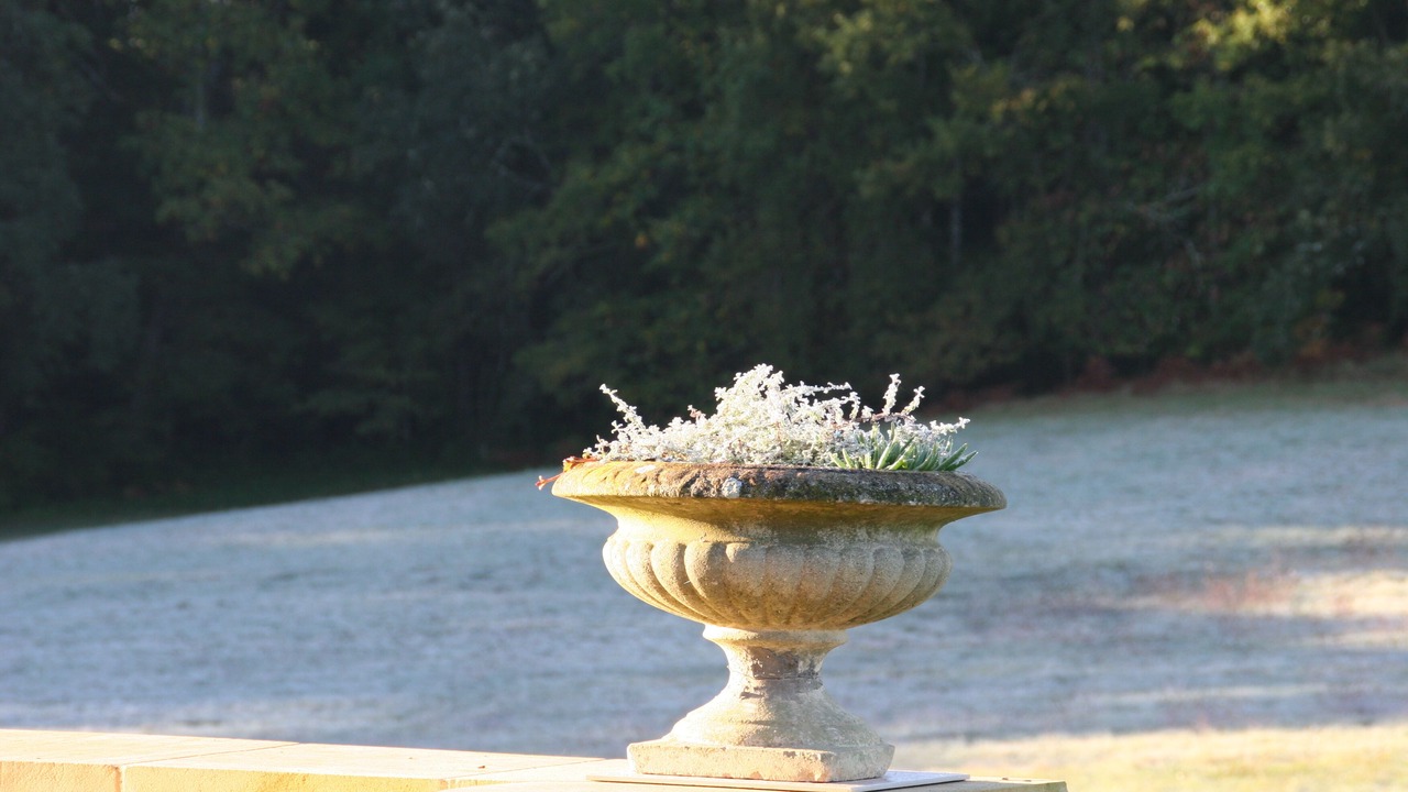 Photo of Outdoor in Sainte Croix de Beaumont