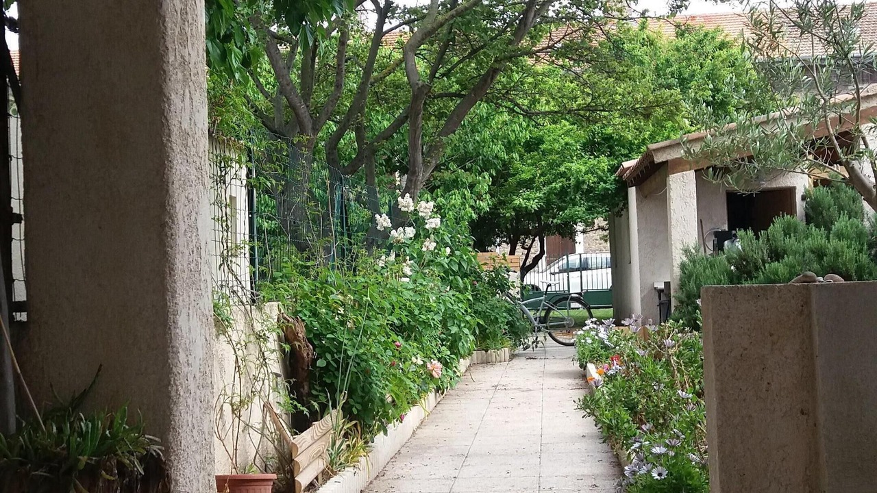Photo of Outdoor in Salin-de-Giraud