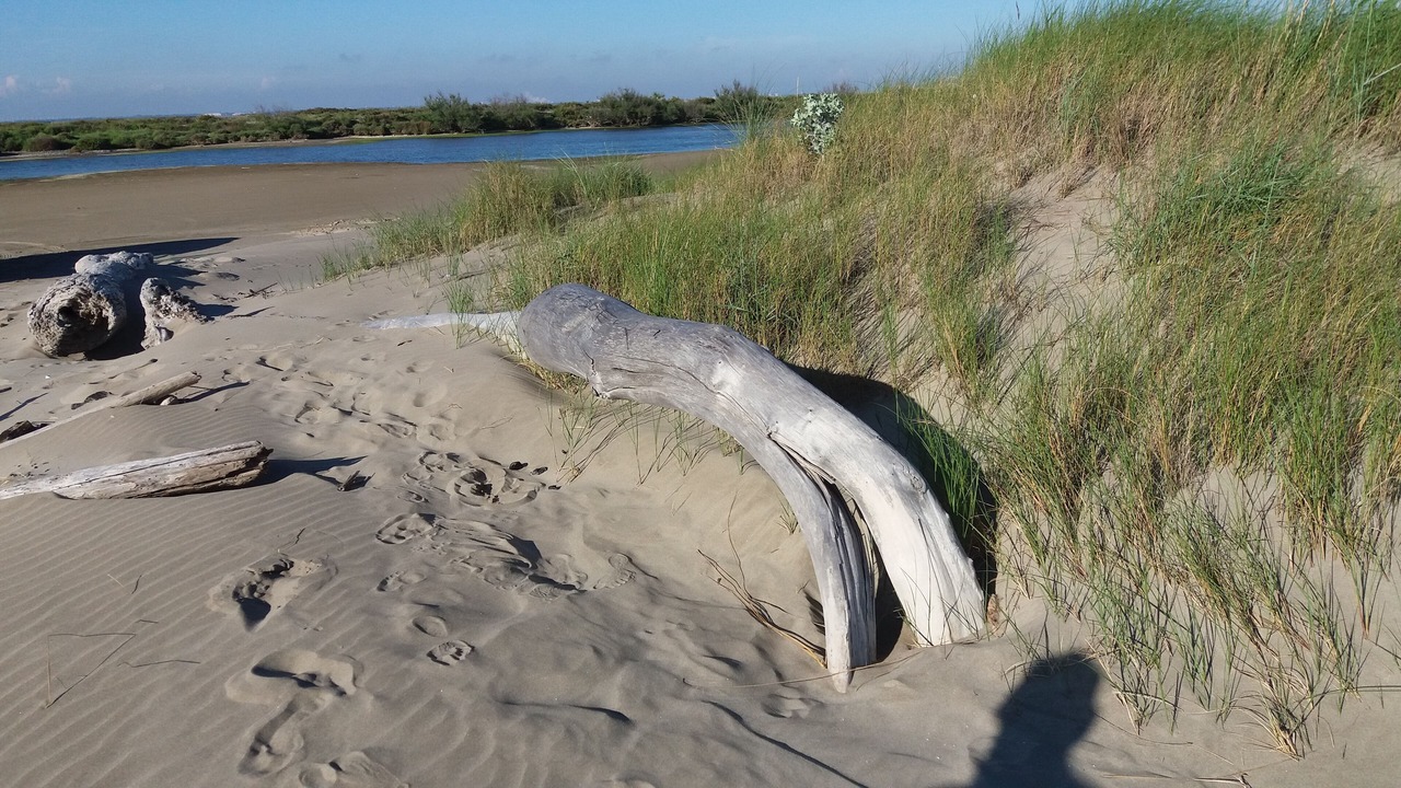 Photo of Others in Salin-de-Giraud