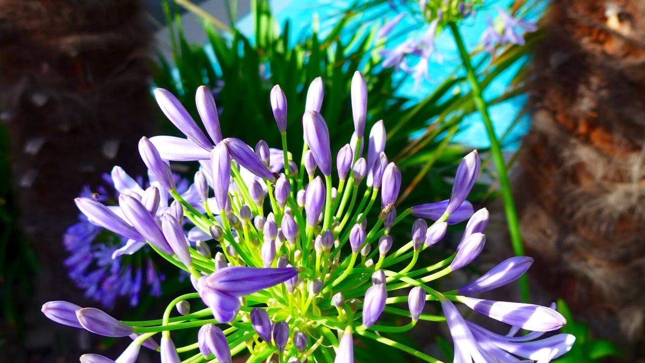 Photo of Outdoor in Talence