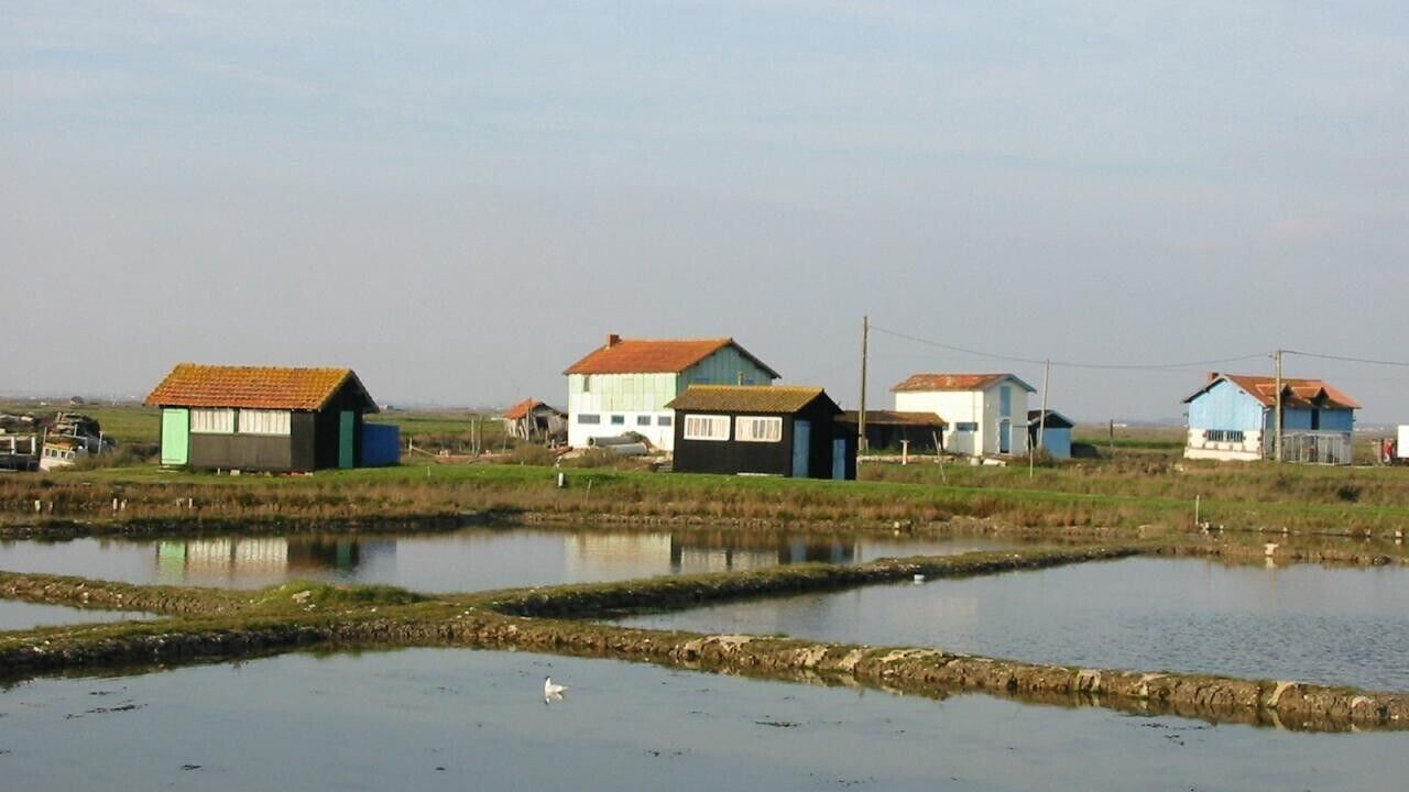 Photo of Outdoor in Etaules