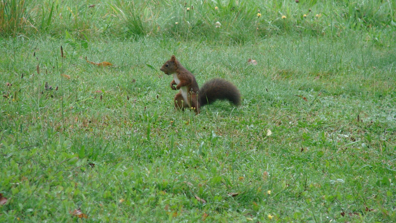 Photo of Outdoor in Sainte-Fortunade