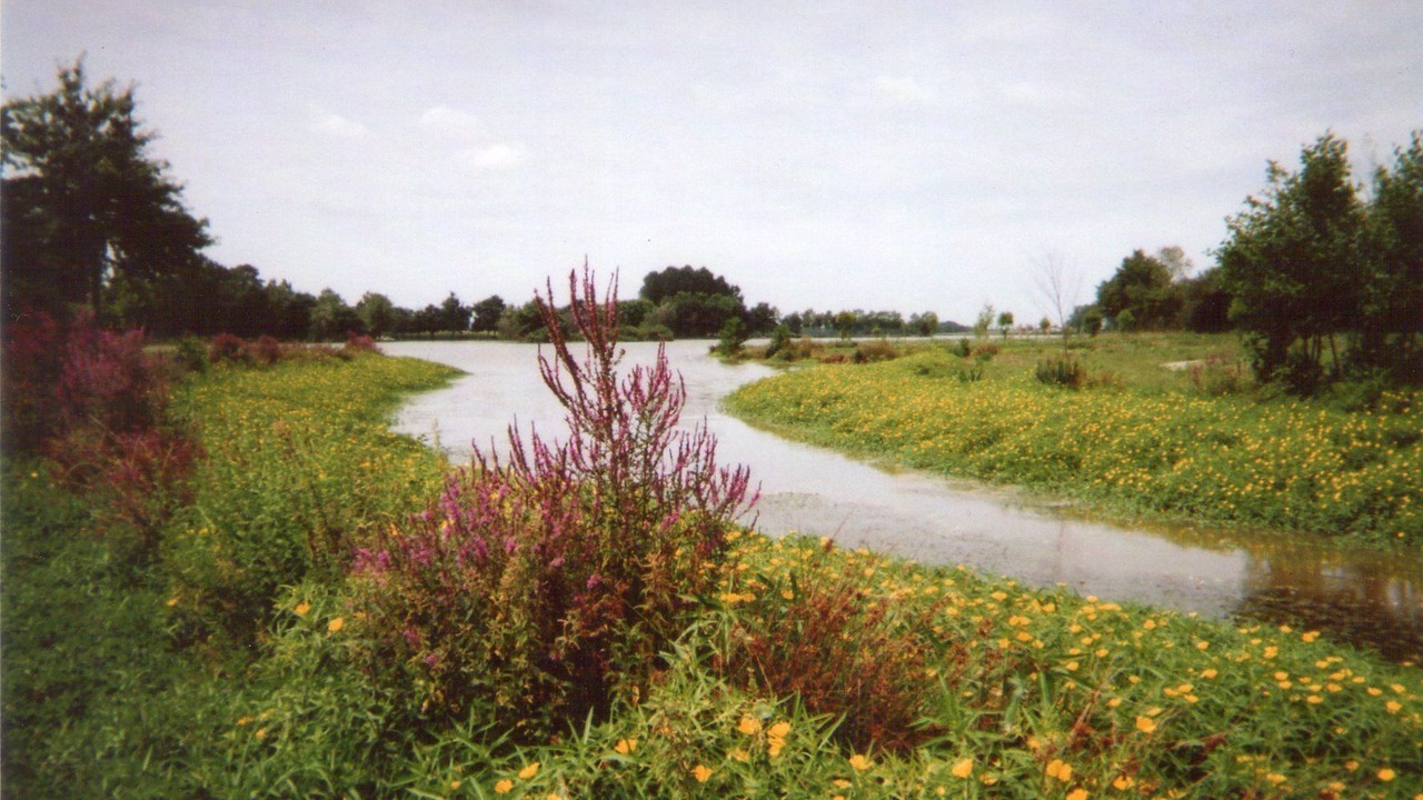 Photo of Outdoor in Habas