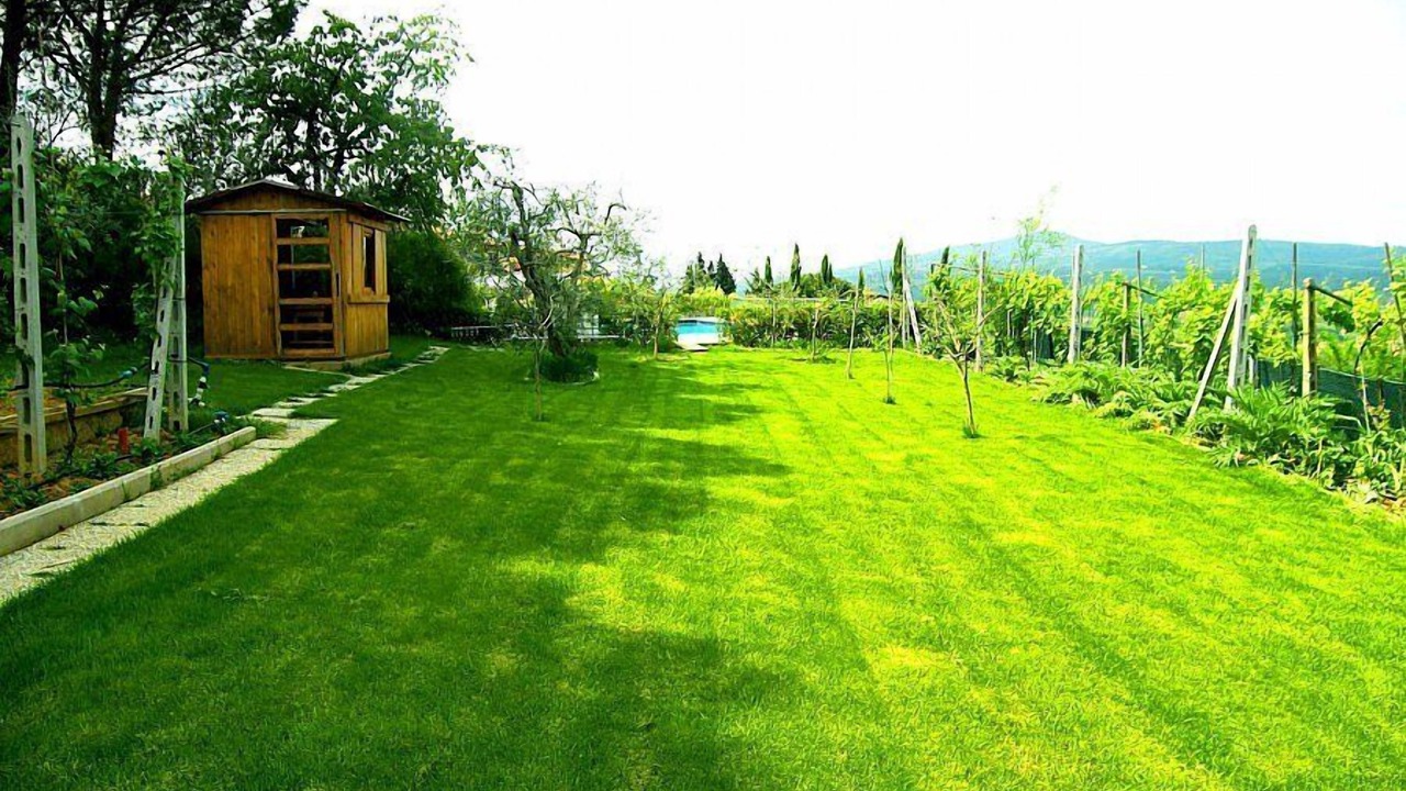 Photo of Outdoor in Bobolino