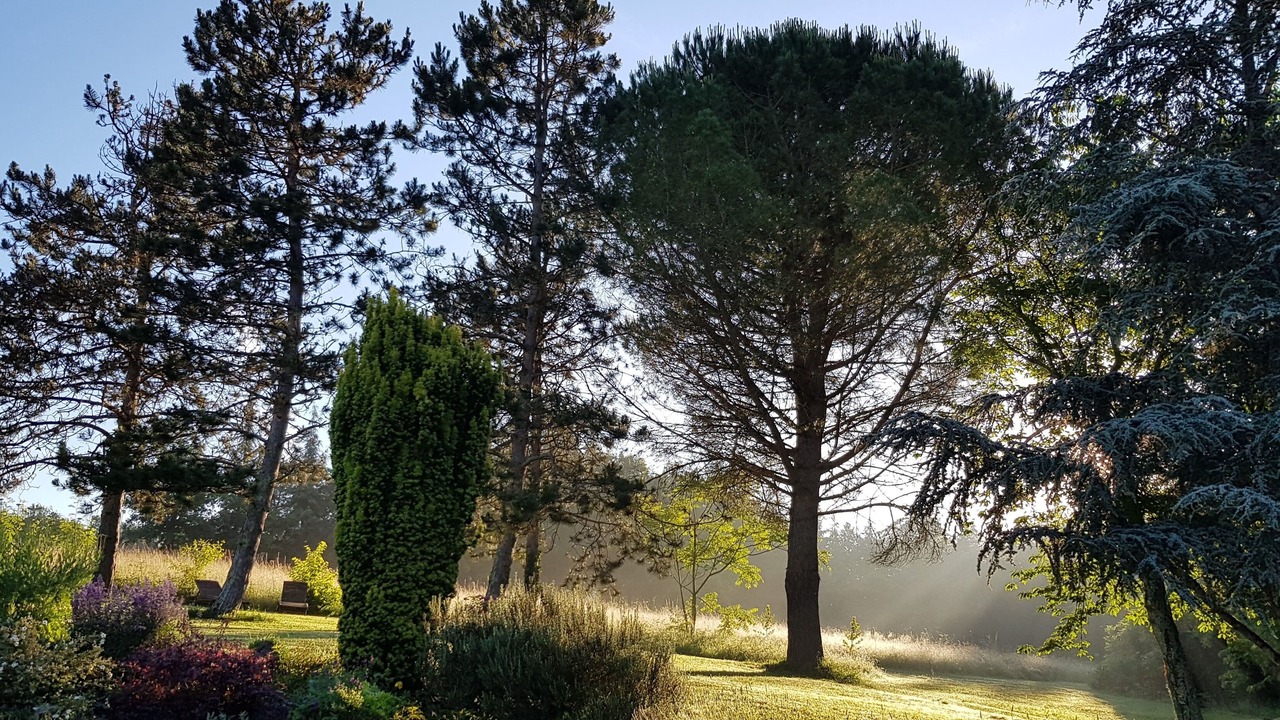 Photo of Outdoor in Monestier