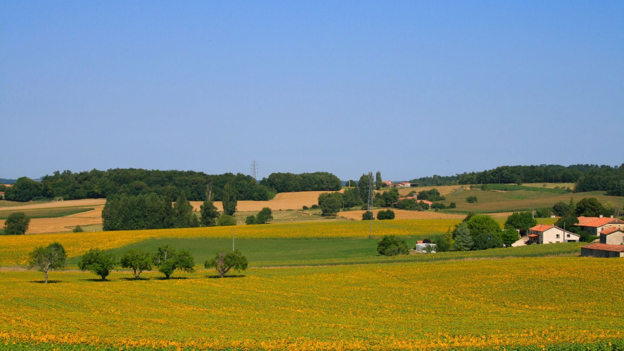 Photo of Others in Juignac