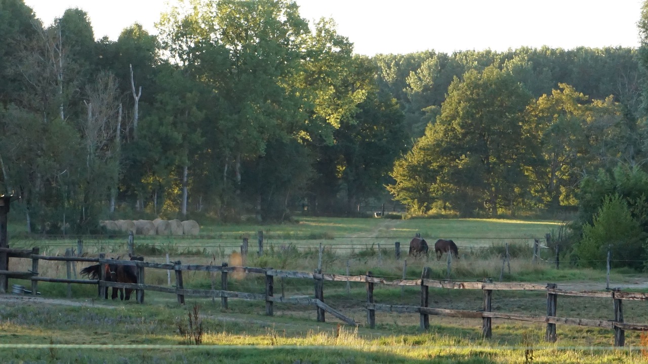 Photo of Outdoor in Ferrensac