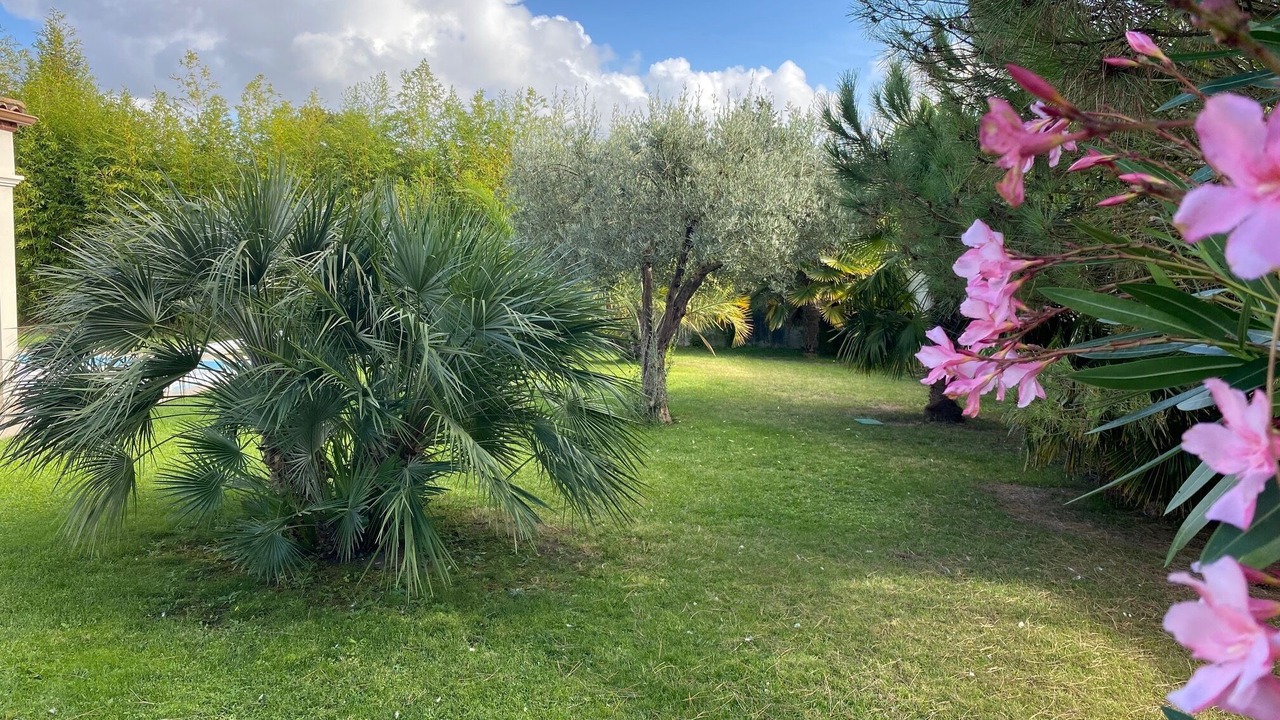 Photo of Outdoor in La Tremblade