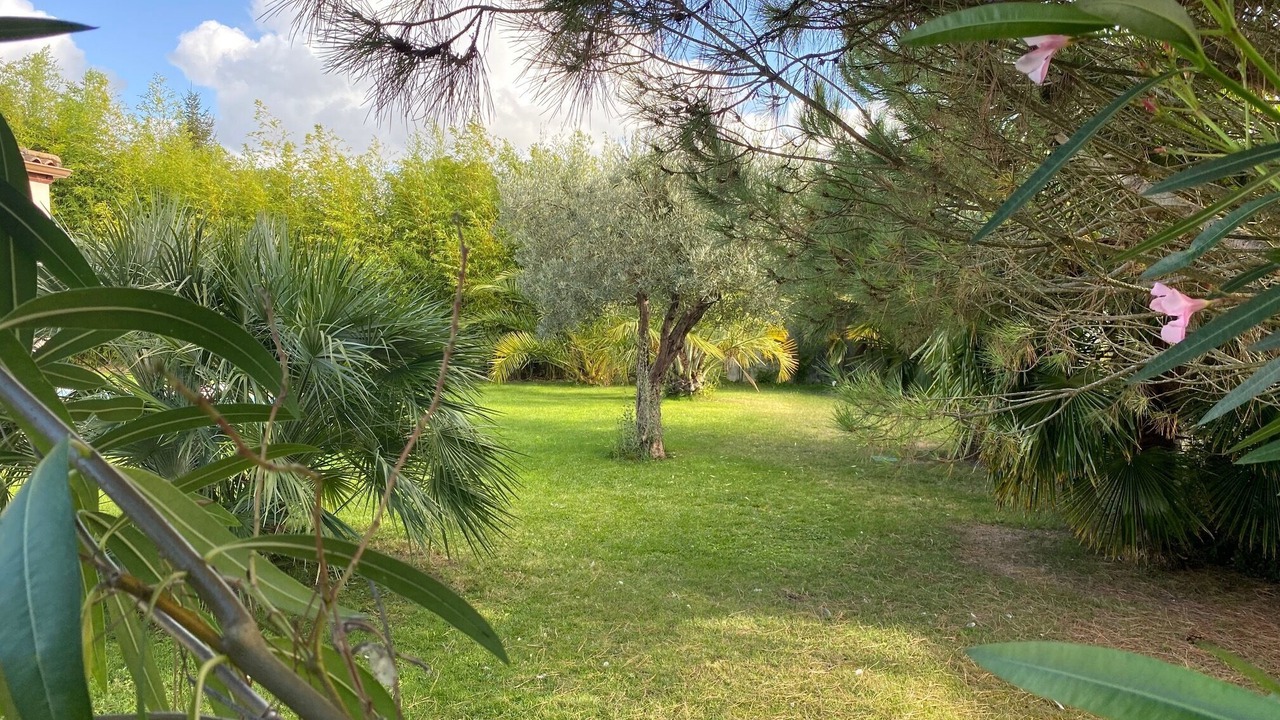 Photo of Outdoor in La Tremblade