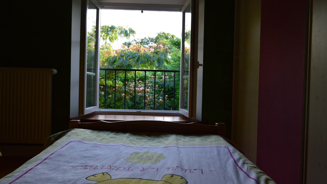 Photo of Bedroom in Savigne