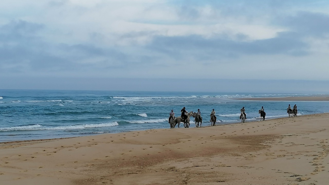 Photo of Others in Saint-Girons Plage