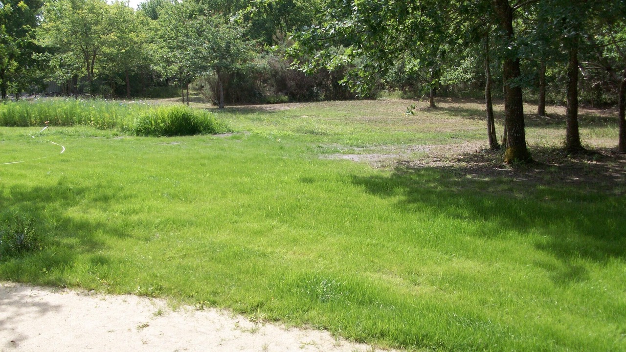 Photo of Outdoor in Vendays-Montalivet