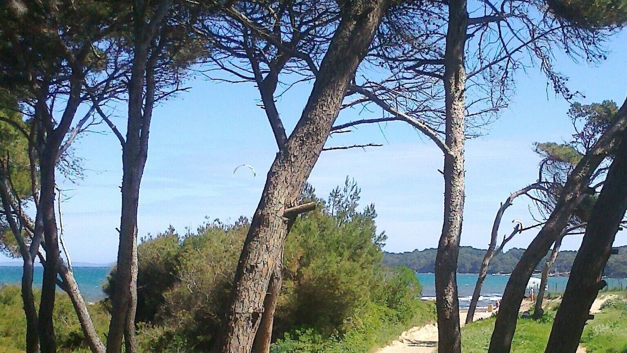 Photo of Outdoor in Giens