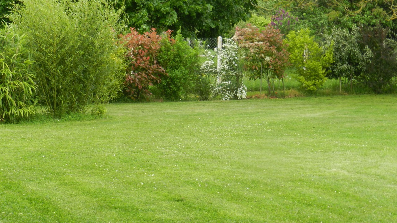 Photo of Outdoor in Saint-Secondin