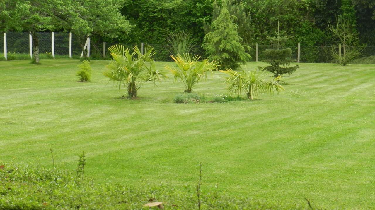 Photo of Outdoor in Saint-Secondin