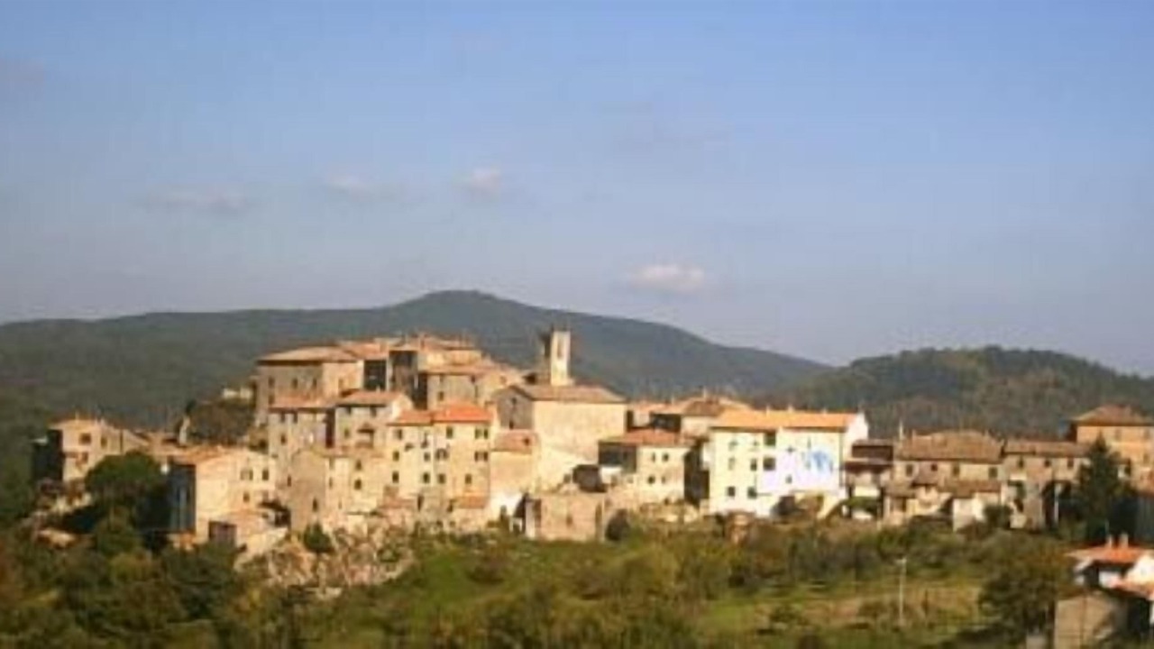 Photo of Others in Torniella