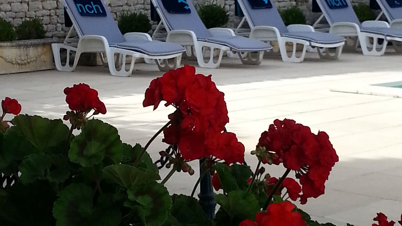 Photo of Outdoor in Cherbonnieres