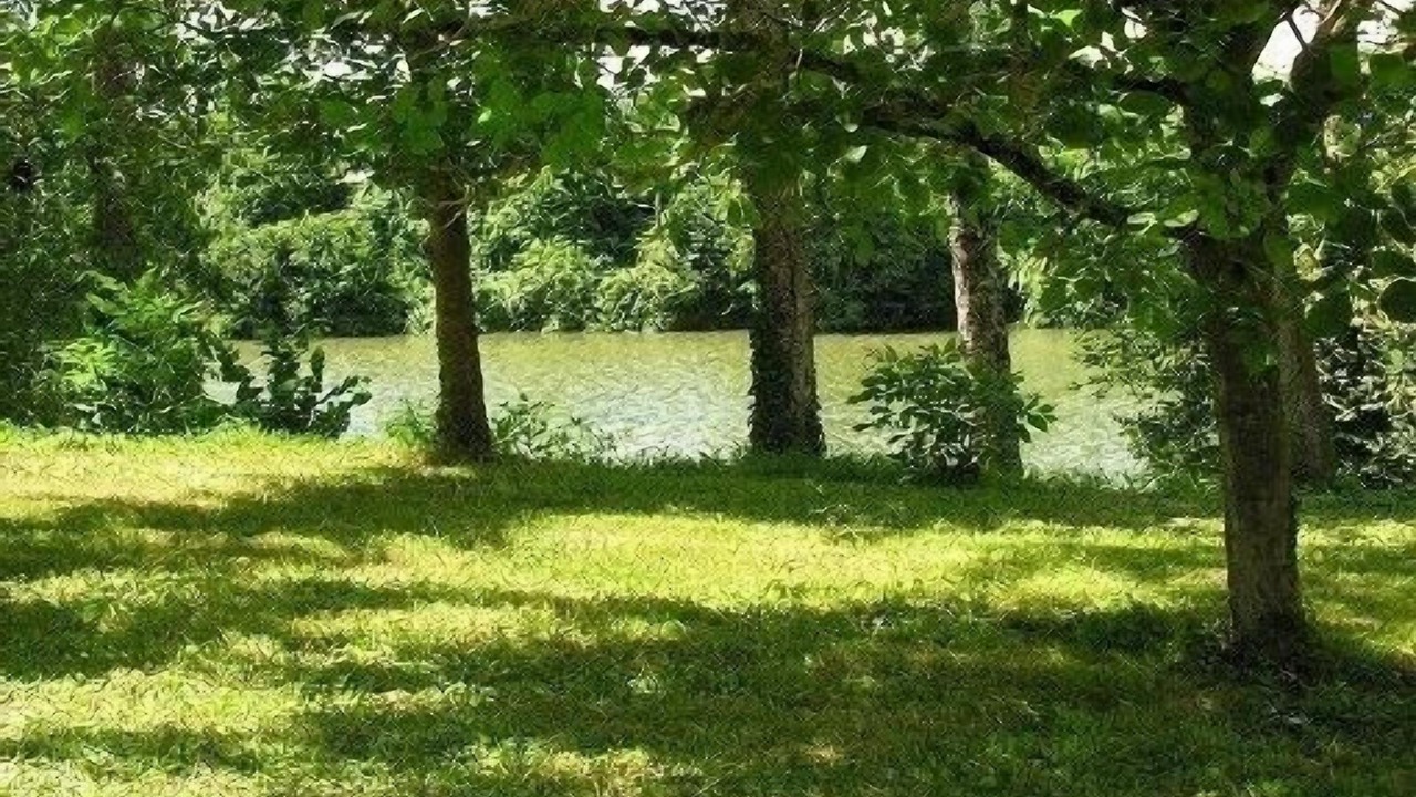 Photo of Outdoor in Casseneuil